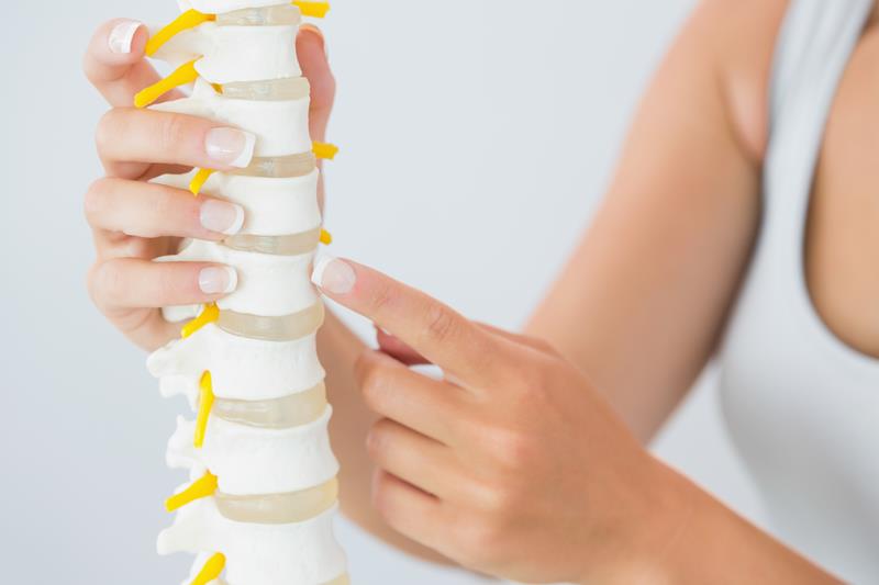 about our chiropractic office Palm Beach Gardens, FL