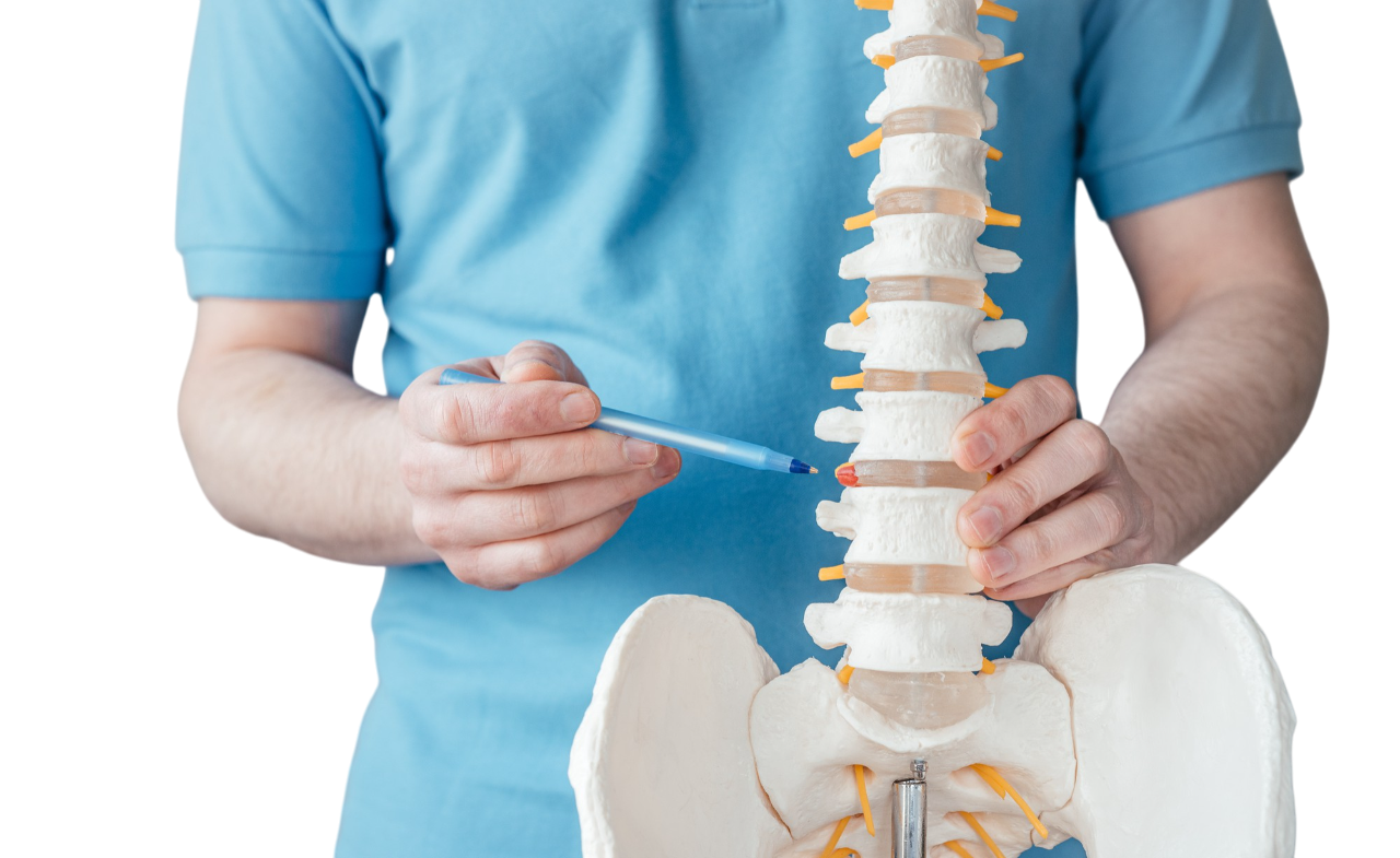 Chiropractor in Palm Beach Gardens, FL